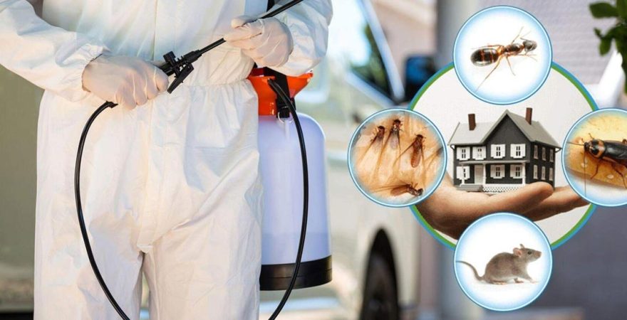 Ankara Böcek İlaçlama