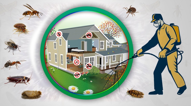 Ankara Böcek İlaçlama