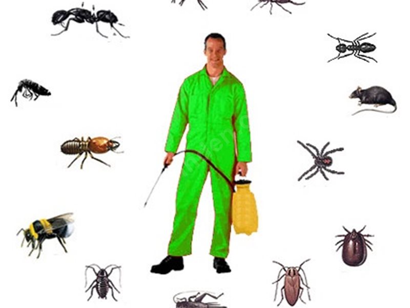 Ankara Böcek İlaçlama